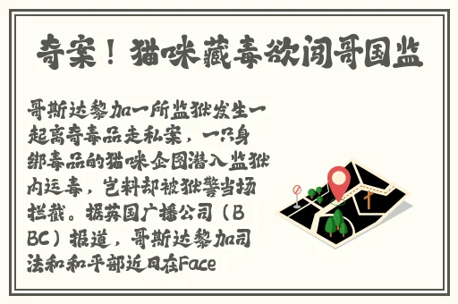 黑料不打烊正能量短小才是精华
